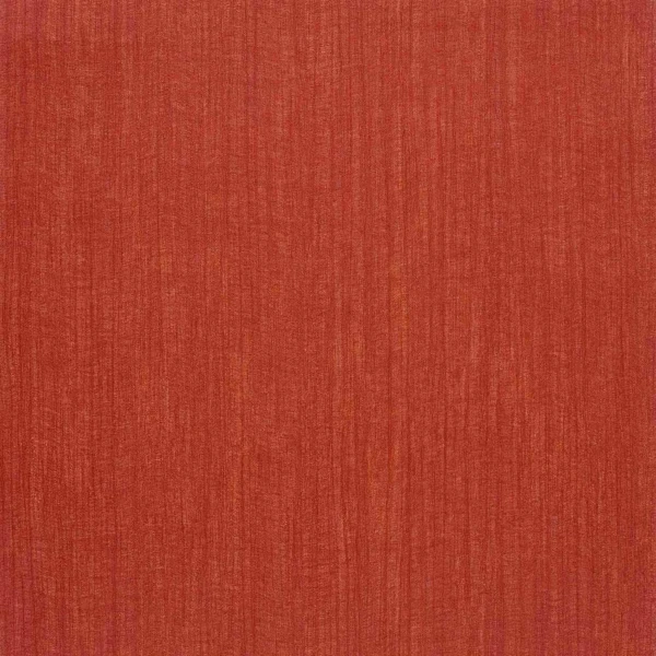 CASAMANCE_72400699.jpg