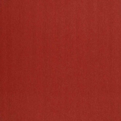 CASAMANCE_72342058.jpg