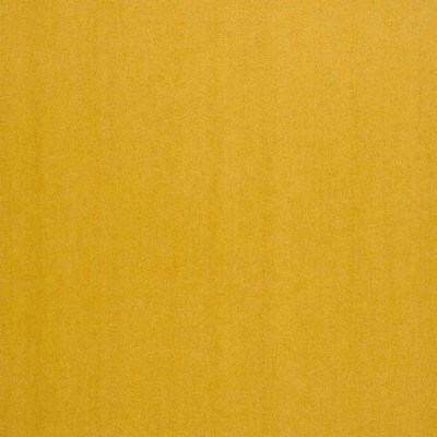 CASAMANCE_72341149.jpg