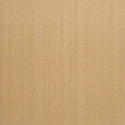 CASAMANCE_72340590.jpg