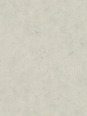 AS 95259-1.jpg
