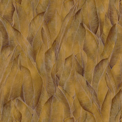 CASAMANCE_74280476.jpg