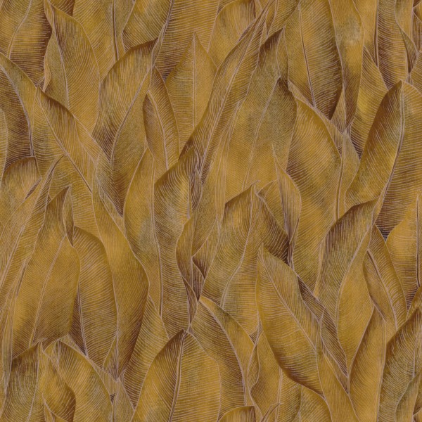 CASAMANCE_74280476.jpg
