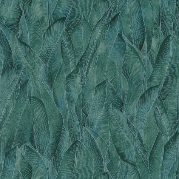 CASAMANCE_74280374.jpg