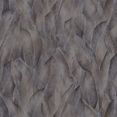 CASAMANCE_74280272.jpg