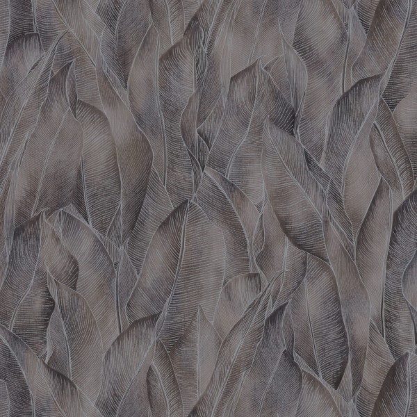 CASAMANCE_74280272.jpg