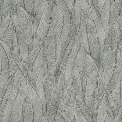 CASAMANCE_74280170.jpg