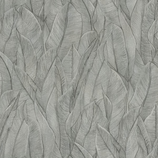 CASAMANCE_74280170.jpg