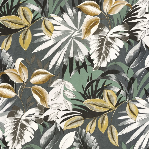 CASAMANCE_74260252.jpg