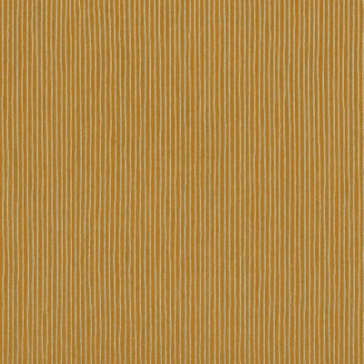CASAMANCE_74203080.jpg