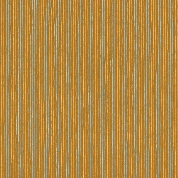 CASAMANCE_74203080.jpg