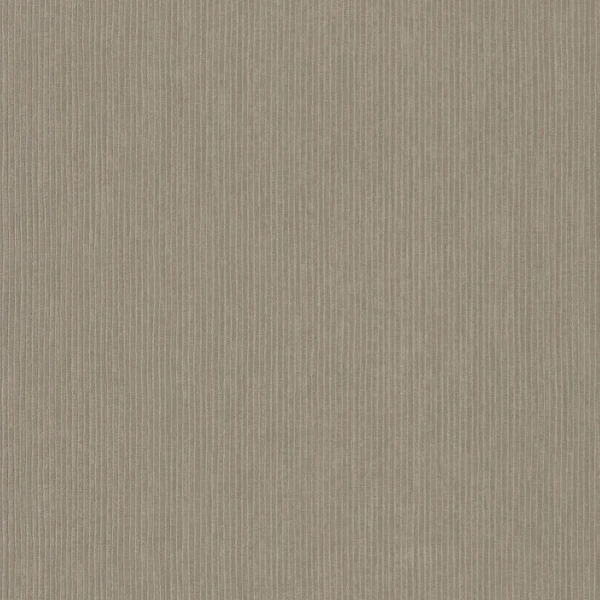 CASAMANCE_74200436.jpg