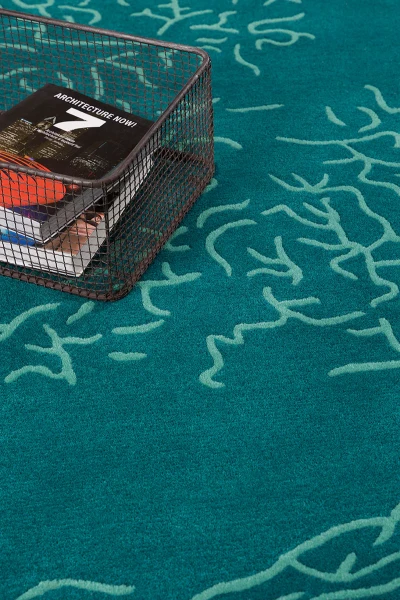 tapis-nature-aqua-ambiance-2_800x.webp