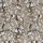 CASAMANCE_74782978.jpg