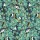 CASAMANCE_74782876.jpg