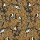 CASAMANCE_74782774.jpg