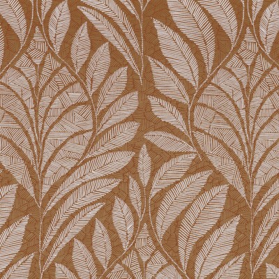 CASAMANCE_74770508.jpg