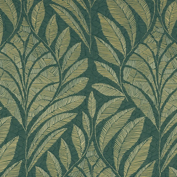 CASAMANCE_74770304.jpg
