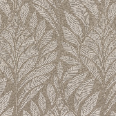 CASAMANCE_74770100.jpg