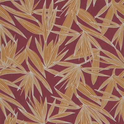 CASAMANCE_73960650.jpg