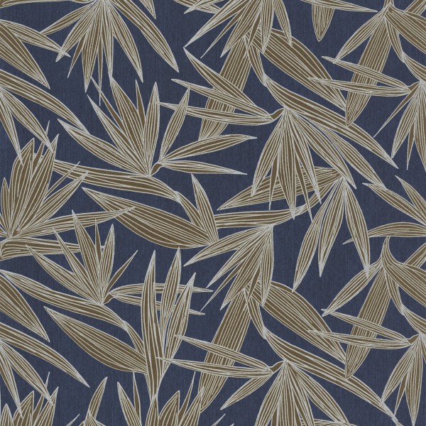 CASAMANCE_73960446.jpg