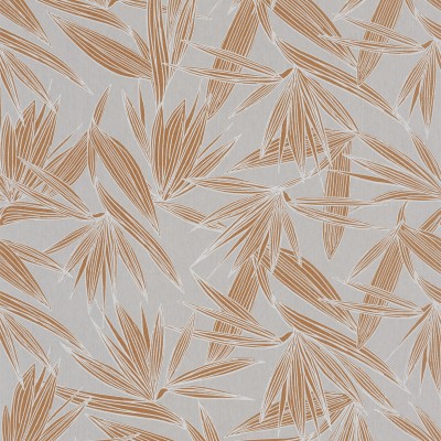 CASAMANCE_73960242.jpg