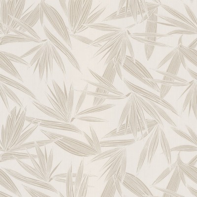 CASAMANCE_73960140.jpg