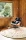 Tapispaint-ocre-rond-ambiance-photo-didier-delmas_800x.webp