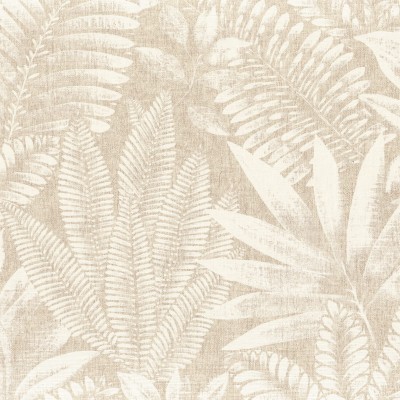 CASAMANCE_75183580.jpg