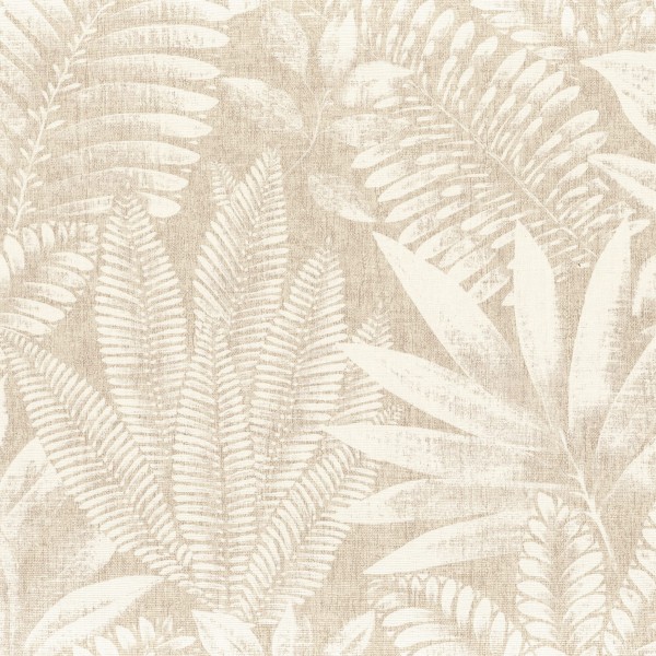 CASAMANCE_75183580.jpg