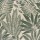 CASAMANCE_75183784.jpg
