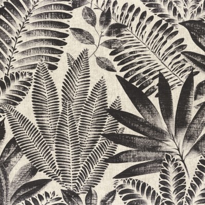 CASAMANCE_75183886.jpg