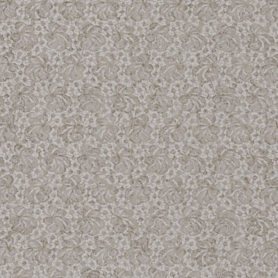 CASAMANCE_74240135.jpg