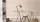 RS_410662.jpg