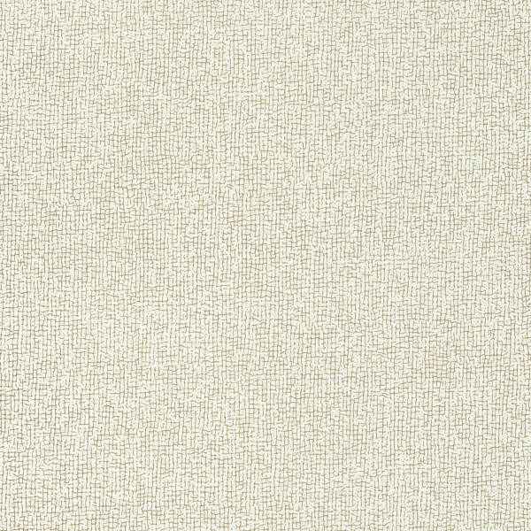 CASAMANCE_74210252.jpg