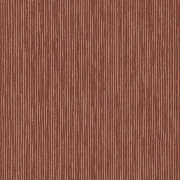 CASAMANCE_74200538.jpg