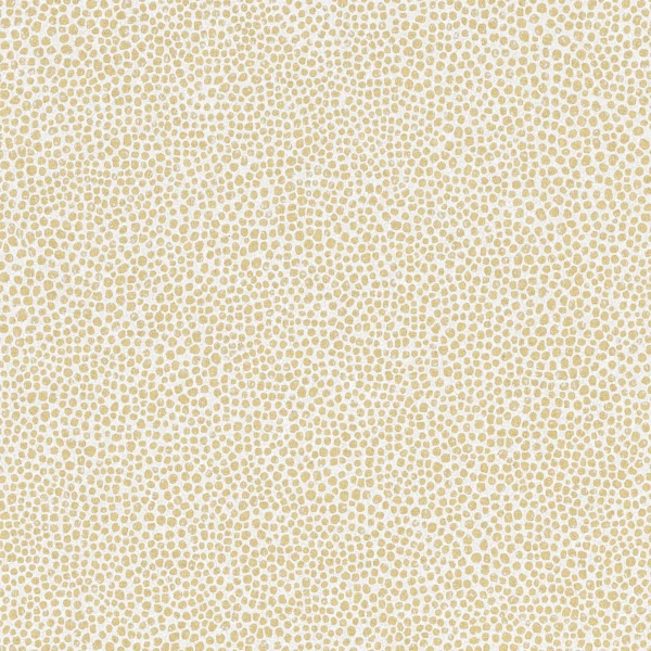 CASAMANCE_73902762.jpg