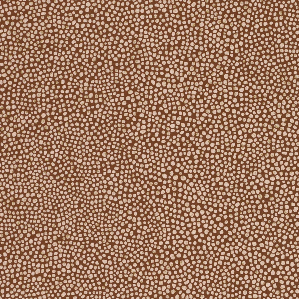 CASAMANCE_73902660.jpg