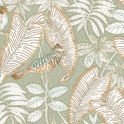 CASAMANCE_74752556.jpg