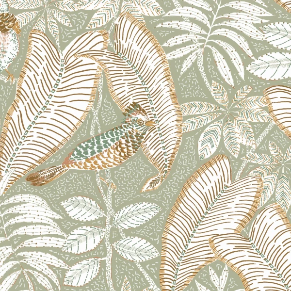 CASAMANCE_74752556.jpg
