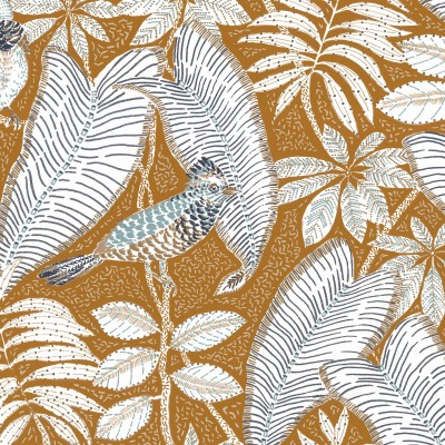 CASAMANCE_74752454.jpg