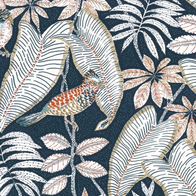CASAMANCE_74752352.jpg