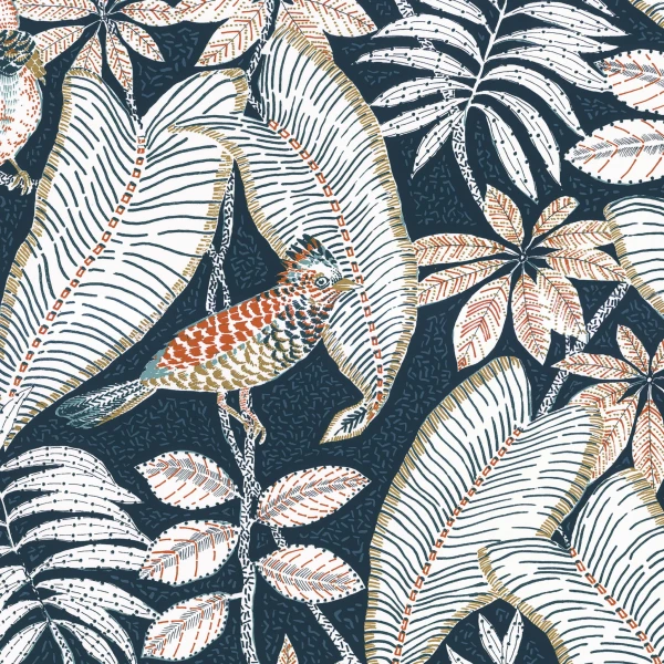 CASAMANCE_74752352.jpg