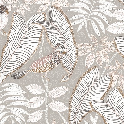 CASAMANCE_74752250.jpg