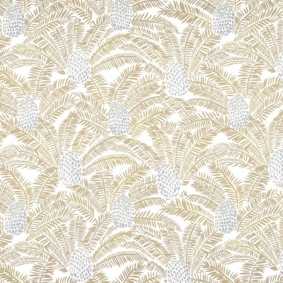 CASAMANCE_74742044 (1).jpg