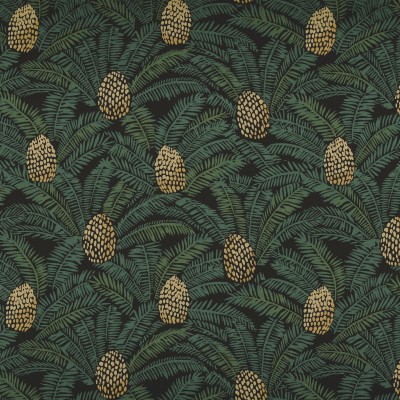 CASAMANCE_74741942.jpg
