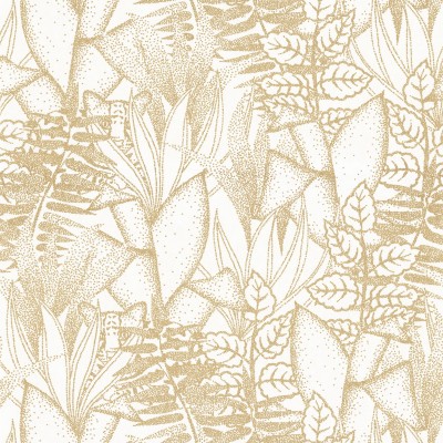 CASAMANCE_74710610.jpg
