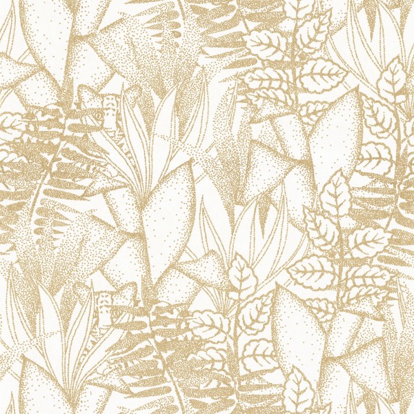 CASAMANCE_74710610.jpg