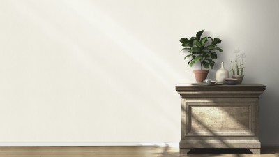 RS_540802.jpg