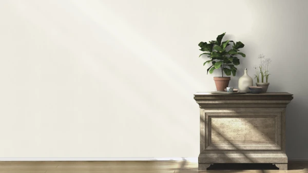 RS_540802.jpg